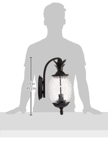 Acclaim 7502Bk Lanai Collection 2-Light Wall Mount Outdoor Light Fixture, Matte Black #TOP7