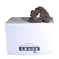 水槽用石 赤色 不規則な形状 約20cm Amazon | TOMMYFIELD 水草 おもり 溶岩石 水槽 アクアリウム