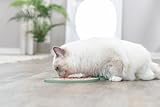 Trixie - Lick'n'Snack Tischdecke für Katzen, Lametablett aus Silikon, 28 cm, rutschfest, blau, spülmaschinenfest und gefriergeeignet