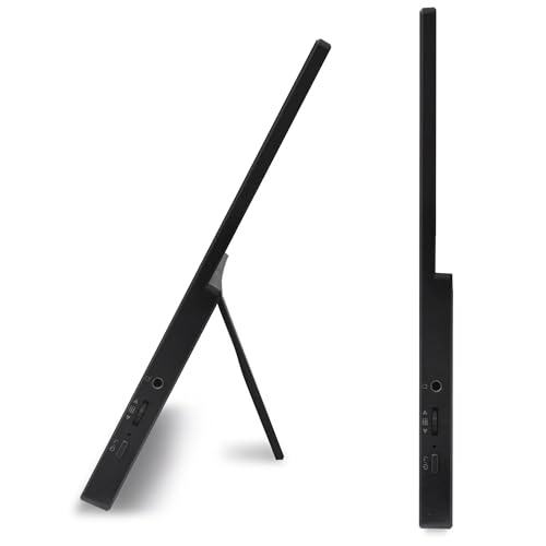 Image of Acer 15.6 inch Portable USB-C IPS Monitor with Tiltable Stand 2 Pack | 4ms Response Time, Anti-Glare, 250 nits, Built-in Speakers, Mini HDMI & Dockztorm USB Port Expander, Black Color