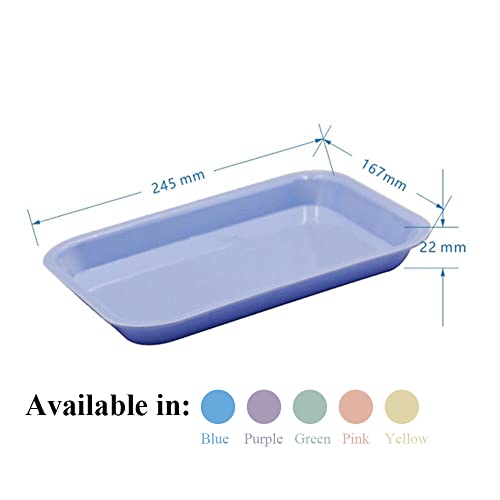 Snawop Dental Instrument Tray Autoclavable Small Size F Medical Plastic Flat Tray For Instrument Organizer (Blue) #TOP4
