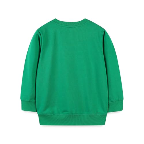 Boys Sweatshirts Casual Sweatshirts Cotton Sweatshirts Long Sleeve T-shirts Crew Neck Cartoon Tops for Boys-2672
