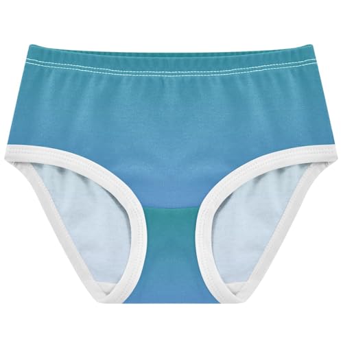 Joisal Teal Green Cornflower Blue Gradient Toddlers Underwear Floral 2t Cotton Little Girl Panties Fancy Briefs Underpants
