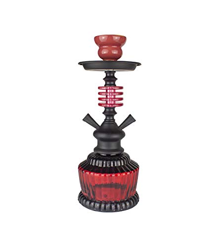 Paide 2023-2 Cachimba 2 salidas Premium - Hookah 2 tubos de iniciacion - Kit...