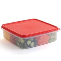 Vorratsbehälter aus Kunststoff mit Deckel - 3L Cupcake Carrier - Auslaufsicher Keksbehälter Luftdicht - BPA-freier Kunststoffbehälter mit Deckel für Lebensmittelaufbewahrung, Mahlzeitvorbereitung,