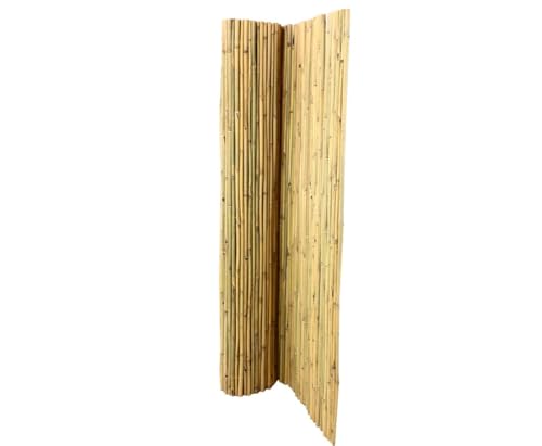bambus-discount.com Bambusmatte Bali extrem stabil 200 x 300cm Bambusrohre...