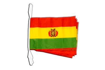 Guirlande Bolivie de 8,9 m Digni Geant pour decoration exterieure