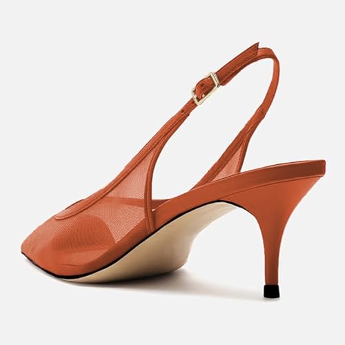 Image of Mesh Kitten Heels for Women Slingback Design with Pointed Toe Breathable and Stylish Elegant Low Heel for Comfort