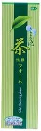 Journey Beauty Japanese tea facial cleansing foam 4.2 Oz