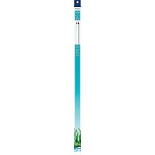 Aqueon T8 Fluorescent Lamp Replacements Daylight 24 Inches