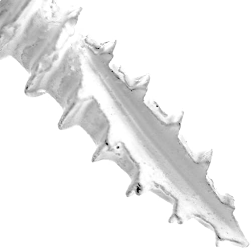 Vis à bois Torx pour fixation extérieure sans fissure tête blanche - 5