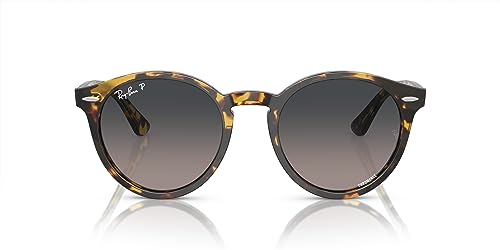 Image of Ray-Ban RB7680S Larry Round Sunglasses