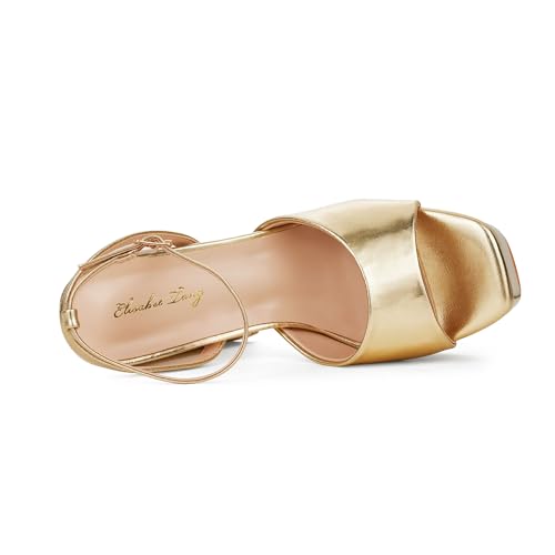 Elisabet Tang Chunky Heeled Platform Sandals for Women,4.7 Inch Block Heels with Open Toe Ankle Strap, Dress Shoes for Wedding Party Homecoming Travel3