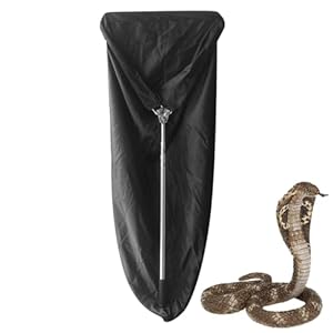 Learnlyrics Schlangengreifer mit Tasche SQXB83S8ZUK06MNJ246P