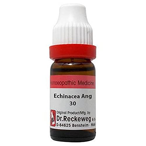 Dr. Reckeweg Echinacea Ang Dilution 30 Ch - Bottle Of 11 Ml Dilution #TOP5