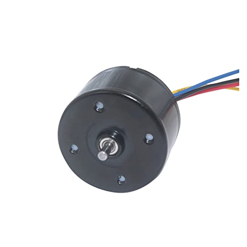 Micro moteur BLDC pour robotique et modélisme 24V 3000 RPM