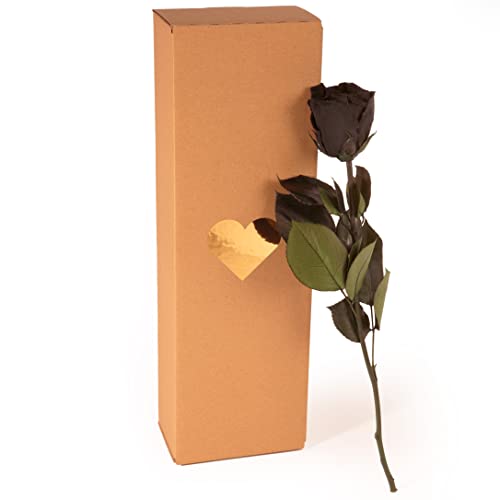 Blumen Langer Stiel Die 15 besten Produkte im Vergleich