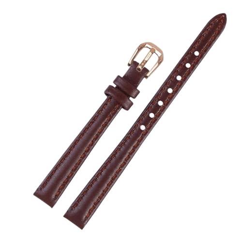 [ȓX] p^vvohiWΉAIKΉA[^EHb`XgbvApuXbgj(Brown RG,16mm)