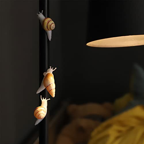 Imanes decorativos de caracol natural para refrigerador, 7 piezas miniatura 5