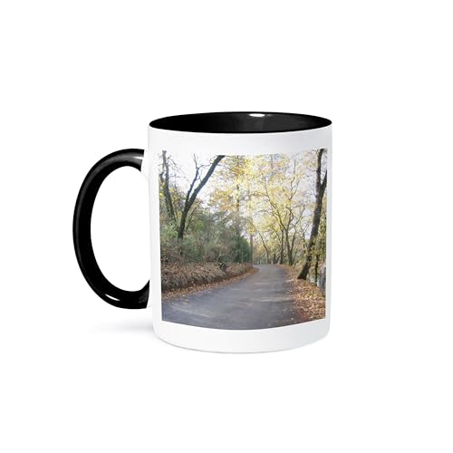 3dRose country road II 11oz Two-Tone Black Mug