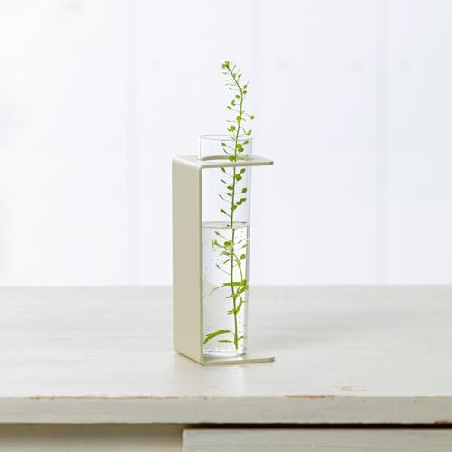 yO𐻁zTETSUNAGI t[ׁ[X C O ֑} X`[ KX  ~j { CeA AG k͔| hCt[  Mtg  eciM (x[W)