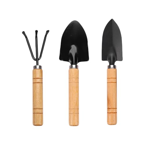 3 Piezas Mini Palas y Rastrillos de Jardín para Bonsái miniatura 1