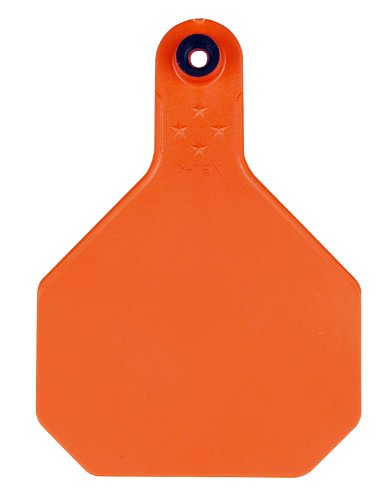 Y-TEX CORPORATION Large Orange Blank Tag (25 Pack)