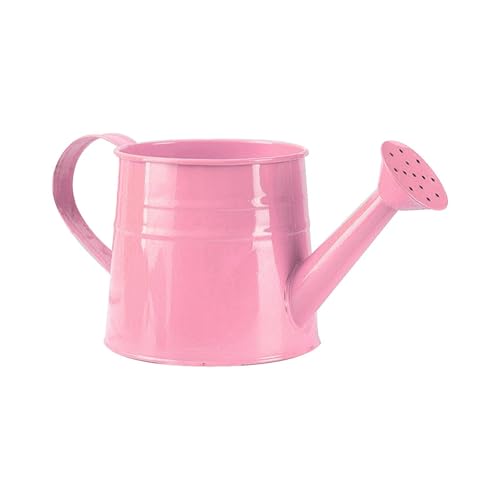 1L Gießkanne aus Metall, Gartengießkanne mit dem Brausekopf, Handliche Giesskanne für Innen und Außenbereich Ideal für Bewässerung für Zimmerpflanzen (Leuchtend Rosa) 1L Gießkanne aus Metall, Gartengießkanne mit dem Brausekopf, Handliche Giesskanne für Innen und Außenbereich Ideal für Bewässerung für Zimmerpflanzen (Leuchtend Rosa)