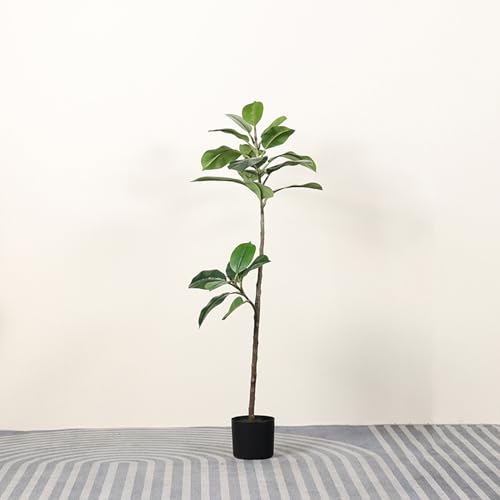 [LJKI]  tFCNO[   AȊϗtA S̖ ^ ϗt 傫 傫 lH lHϗtA A  A[gO[ O[1  180cm CeAO[  oRj[ x_ eX 