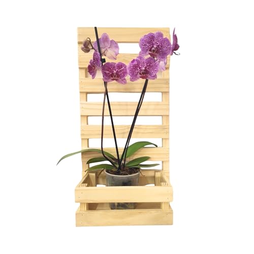 Kit 3 Painel Floreira Jardim Vertical Plantas Com Cachepos