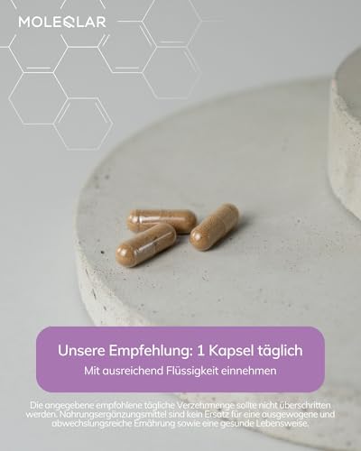 MoleQlar Astragalus Kapseln 60 Stück - 50 mg Astragalosid pro Kapsel - Traganthwurzelextrakt - Laborgeprüft und standardisiert