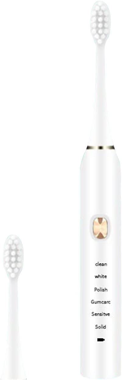 Electric Toothbrush for Adults with 2 Brush Heads Smart 6-Speed Timer IPX7 Waterproof Gentle and Effective Clean Teeth