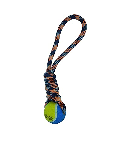 Pets Empire Pet Dog Plastic Ball Toys with Large Rope (B077SJBLQ3) Amazon Price History, Amazon Price Tracker
