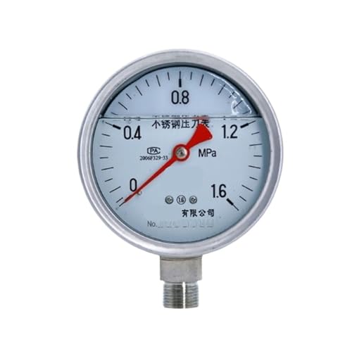 Manomètre haute température YTN-100BF anti-corrosion acier inoxydable