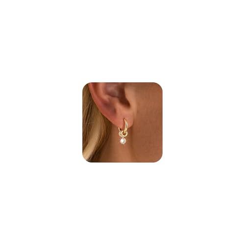 Gold/Silver Hoop Huggie Earrings for Women Dainty Dangle Drop Dangling Dangly 14K Plated Stud Earrings Trendy Small Statement Tarnish Jewelry Gifts