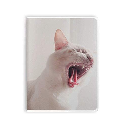 Carnet de notes chat blanc écriture et papeterie originale