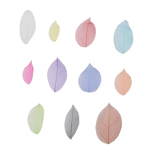 Cabilock 300 Peças Marcador Bookbaga Decoração De Casa Floral Seco Marcaspaginas De Libros Materiais