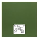 PA Paper Accents Stash Builder Cardstock 12