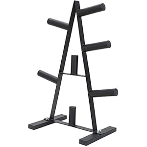 Dumbbell Rack, Olympic Weight Plate Rack Weight Plate Rack, Home Weightlifting Bench, Weight Plate Tree Storage Rack 2 inch for Dumbbell Bumper Plates Free Weight Stand (37 x 20 x 15 inches, Black)