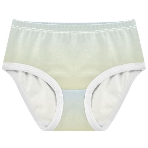 Joisal Elegant Blue Pale Goldenrod Gradient Panties for Girl Toddler Underwear Floral Cotton Bright Kids Briefs Undies 2t