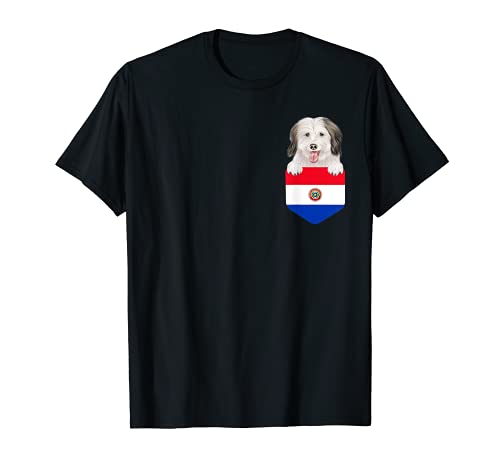 Paraguay Flag Coton de Tulear Dog In Pocket T-Shirt, Black