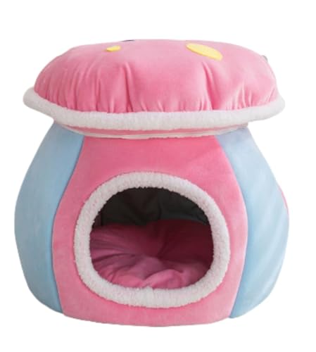 DiexgiyLmR^Lpxbh O\E􂦂 ~p  g ӂӂ ybgp Ehxbh ^p ybgpi (M,sN)