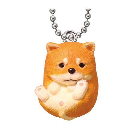 Manmaru Animal Mascot [6. Mameshiba (Red Brown)] (Single Item), Capsule Toy