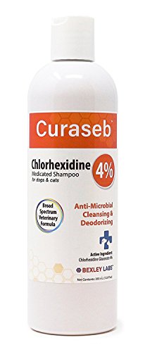 Best Antibacterial Shampoo For Dogs
