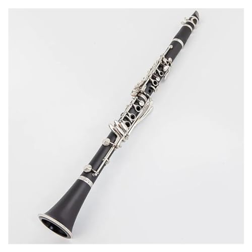 ubNx[NCg{fB Bb g[Nlbg 17 L[NlbgLbgA[{bNXƃANZT[t S҃Nlbg