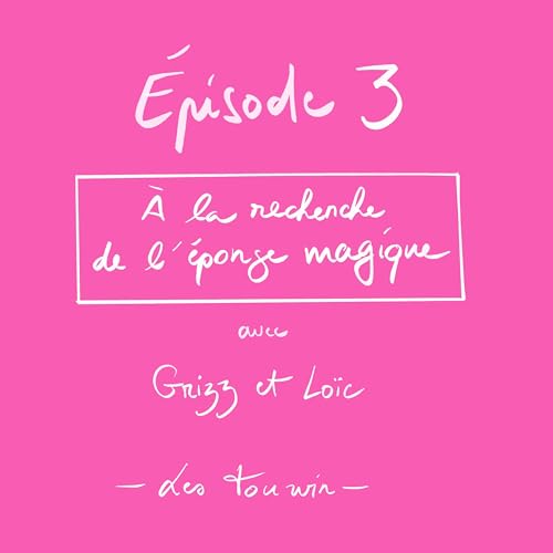 A la recherche de l'éponge magique cover art