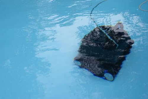 8STREME Robot Piscine Fond et parois 7310