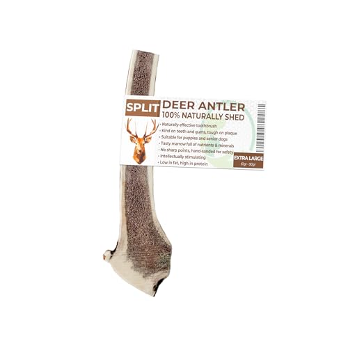 Primary Pets Premium Pet Supplies SPLIT Antlers for Dogs Size EXTRA LARGE, Naturally Shed, Sustainable