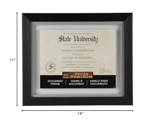 Studio Decor 11\" x 14\" Black Document Float Frame