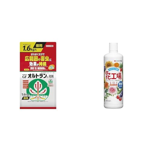 yZbgzZFw| E ƒ뉀|pGFIg 1.6kg{ԍHꌴt 800ml
